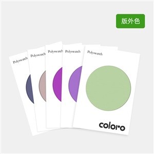 COLORO绦纶色卡单张（版外）