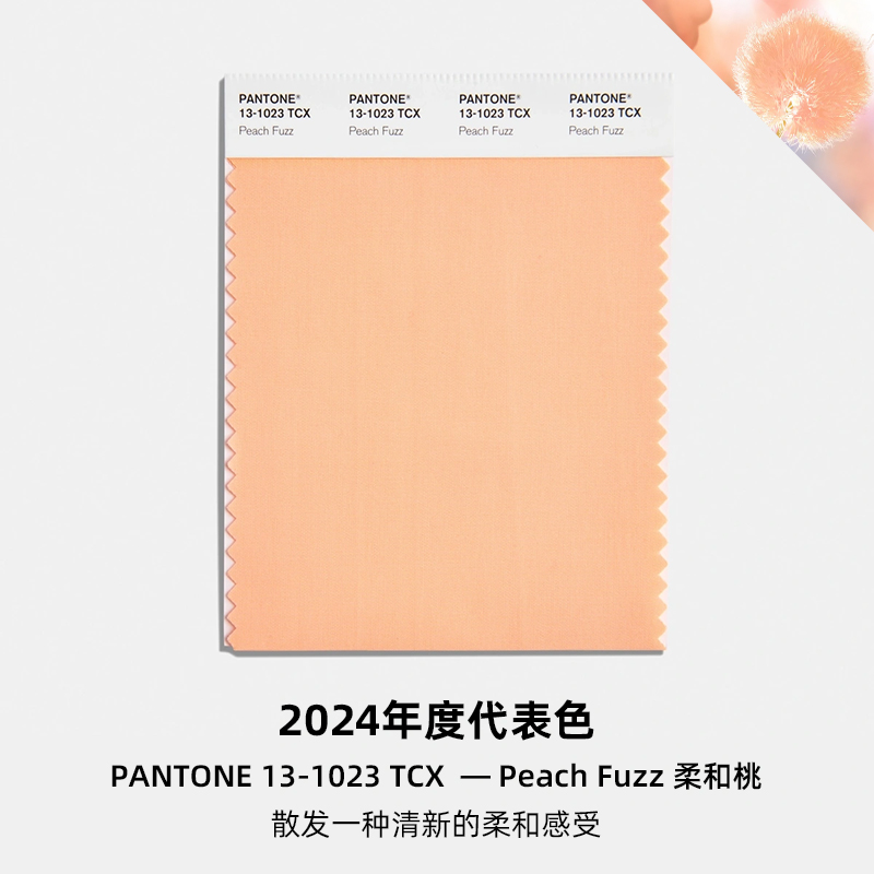 Pantone潘通2024年度代表色TCX色卡棉布卡13-1023 Peach Fuzz蜜桃色实物色卡 pantone-color-of-the-year